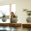 Lyfe Zero-Gravity Planter - Levitates Plants in Mid-Air