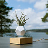 Lyfe Zero-Gravity Planter - Levitates Plants in Mid-Air