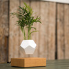 Lyfe Zero-Gravity Planter - Levitates Plants in Mid-Air