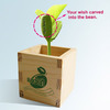 Magic Beans That Sprout With Secret Messages!