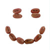 Magic Beans That Sprout With Secret Messages!