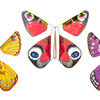 Magic Butterfly - Wind-Up Flying Butterflies For Cards and Books