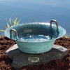 Magic Dancing Water Bowl