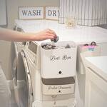 Magnetic Lint Holder Bin For the Laundry Room