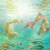 Mahina Mermaid MerFin