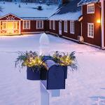Mailbox Planter