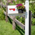 Mailbox Planter