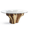 Majestic Teak Root Dining Table