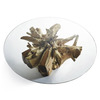 Majestic Teak Root Dining Table