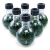Mana Energy Potion - Energy Drink For Gamers