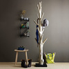 Mangosteen Tree Trunk Coat Rack