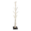 Mangosteen Tree Trunk Coat Rack