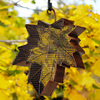Maple Leaf Hanging Bird Feeder