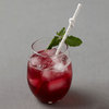 Maritime Drink Stirrers