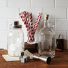 Mason Jar Cocktail Shaker