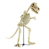 Massive 9 Foot Tyrannosaurus Rex Skeleton Statue