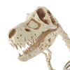 Massive 9 Foot Tyrannosaurus Rex Skeleton Statue