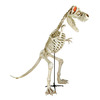 Massive 9 Foot Tyrannosaurus Rex Skeleton Statue