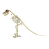Massive 9 Foot Tyrannosaurus Rex Skeleton Statue