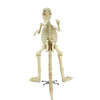 Massive 9 Foot Tyrannosaurus Rex Skeleton Statue