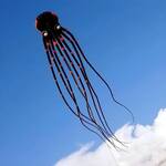 Massive 98-Foot Long 3D Octopus Kite