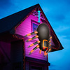Massive Animated Inflatable Spider - Creeps Up and Down