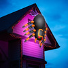 Massive Animated Inflatable Spider - Creeps Up and Down