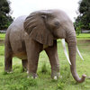 Massive Backyard Elephant Statue