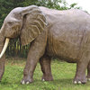 Massive Backyard Elephant Statue