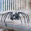Massive Black Spider Skeleton
