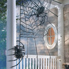 Massive Black Spider Skeleton