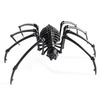 Massive Black Spider Skeleton