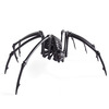 Massive Black Spider Skeleton