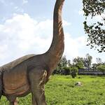 Massive Brachiosaurus Dinosaur Statue