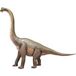 Massive Brachiosaurus Dinosaur Statue