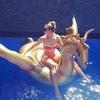 Massive Inflatable Golden Dragon Pool Float