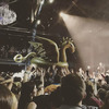 Massive Inflatable Golden Dragon Pool Float