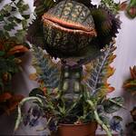 Massive Life-Sized Little Shop of Horrors Audrey II Prop Replica