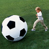 Massive Soccer Ball