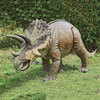 Massive Triceratops Dinosaur Statue