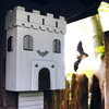 Medieval Bat Castle