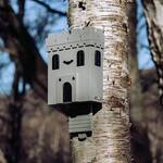 Medieval Bat Castle