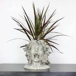 Medusa Head Planter