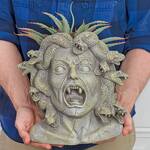 Medusa Head Planter