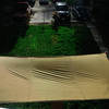 Mega Hammock