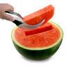 Melon Cut And Serve Tool