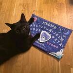 MEOW-G - Spirit Board Mat for Cats with Catnip-Filled Planchette