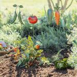 Metal Vegetable Garden Marker Stakes - Carrot, Peas, Tomato, Cucumber