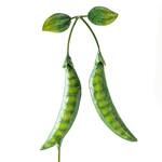 Metal Vegetable Garden Marker Stakes - Carrot, Peas, Tomato, Cucumber