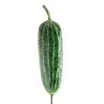 Metal Vegetable Garden Marker Stakes - Carrot, Peas, Tomato, Cucumber